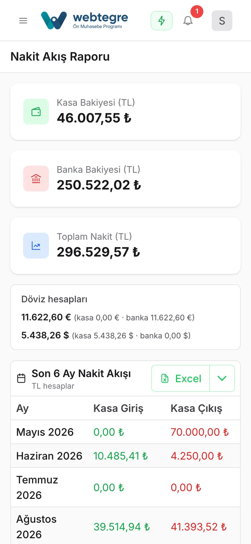 Nakit akış raporu ekranı